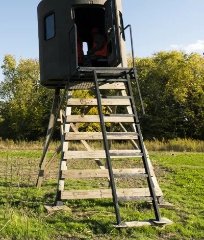 12 STEEL LADDER